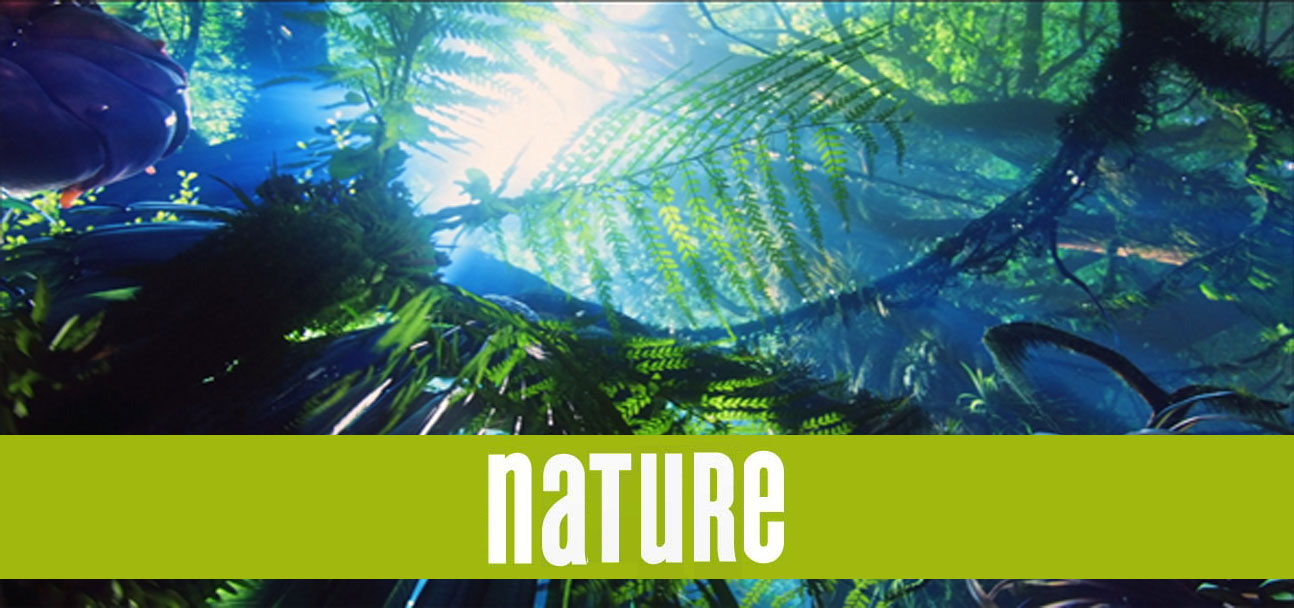 natura