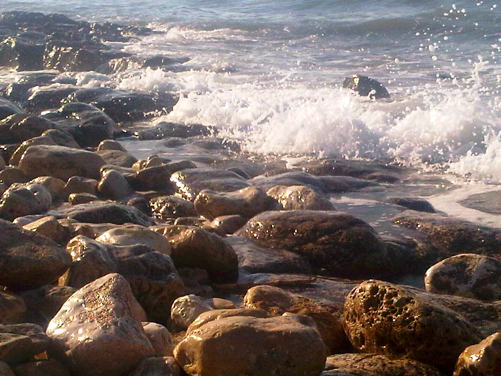 Trani-20130804-01880